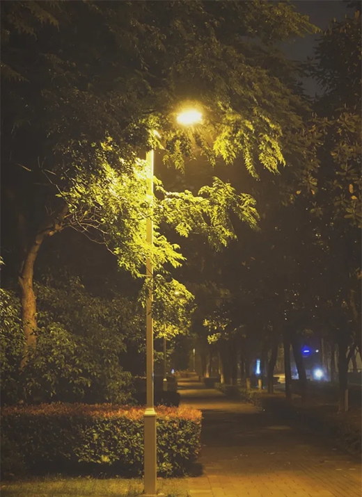 LED·�������l(f��)�����ĳ�������ɫ��