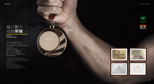 霍爾茨門業(yè)20載：守正創(chuàng)新，繼續(xù)起航!