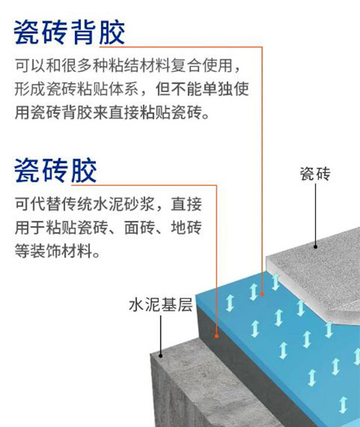 瓷磚膠&瓷磚背膠，一字之差，大有不同