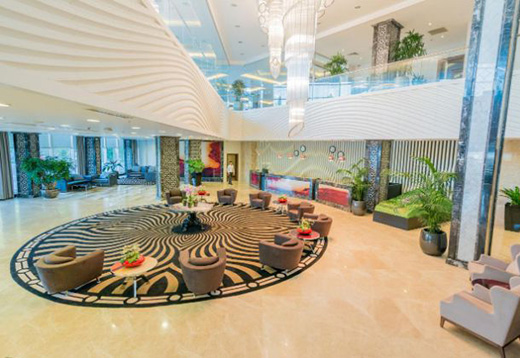 ��Ȼ��ɫ�^������ľ����ľ���չ�F(xi��n)ľ�|(zh��)���