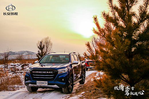 ��ȼ���ѩ �{�S�S�ġ��L���P��F70��푱�ѩ�P��