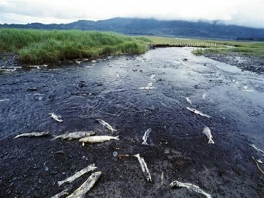 ���ɶ๦���ƄӃ�ˮ������Ľ�����ˮ����