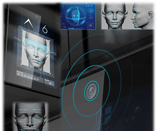 ��Ʒ�l(f��)��ح�F(xi��n)������ذ��Ƴ��ɿ���Ʒ ���������³ɆT