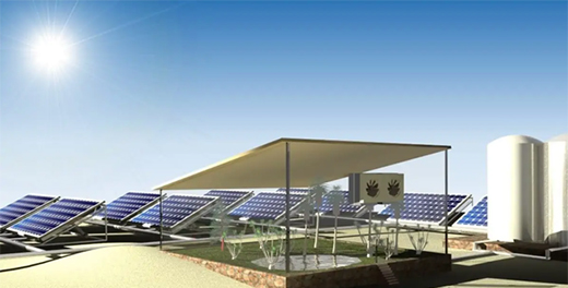 ̫���늳ذ��ڰl(f��)늵�ͬ�r(sh��)���ֲ��?