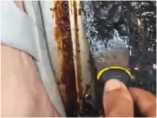 ������͟��Cȫ�����G�Ρ����Єӣ�