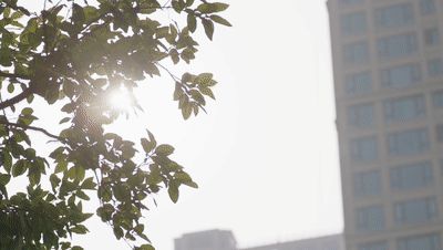 Ξʯ�����i����������������ܡ��������P��!