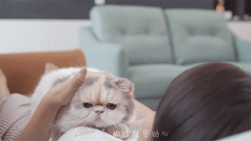 ��؛ | ���ҿƼ���ɳ�l(f��)��7��(y��u)���㶼�˽��?