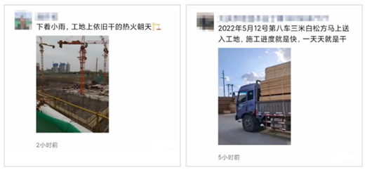 原木“量”“價”問題突顯，終端木材價格或受影響