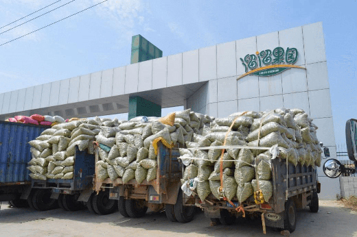 從“市場思維”到“品牌思維”，溜溜梅的成功絕非偶然