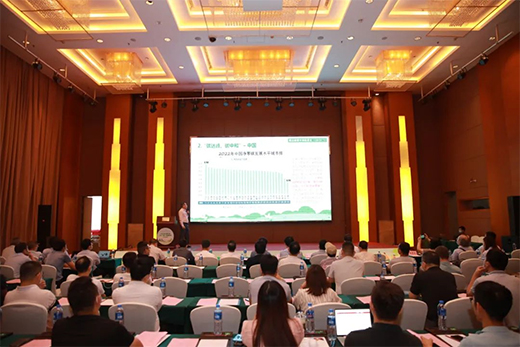 �����ИI(y��)��Ό�(sh��)�F(xi��n)���p̼��Ŀ��(bi��o)?�@��(ch��ng)��ӑ��(hu��)����ɽС�����_