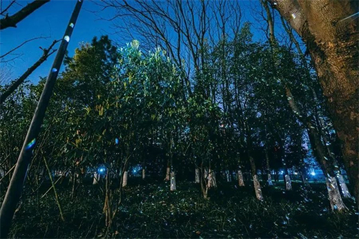 ���������c���������̡�!���ҹ������ȫ������