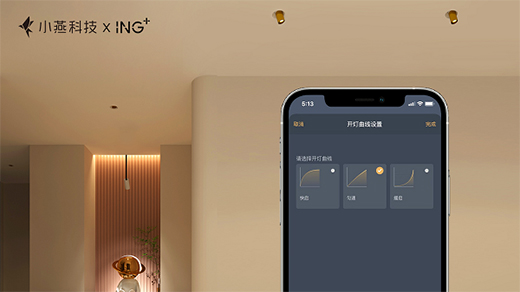 С��Ƽ��cING+(li��n)����Ʒ�����Wҫ��ϵ���������