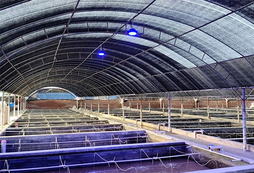 �����á��⡱����ˮ�a(ch��n)�B(y��ng)ֳ | ��ɽ�����Ƴ��B(y��ng)ֳ�����·���