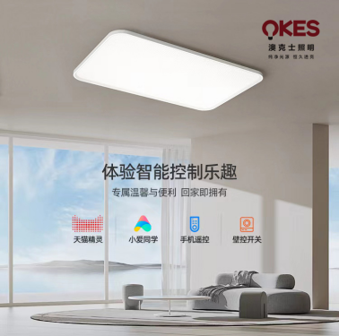 �Ŀ�ʿ�����������������Ӱ֮�g��Ԋ��