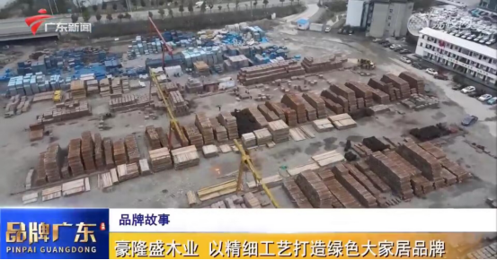 廣東電視臺重磅欄目《品牌廣東》，講述板芝福板材品牌故事
