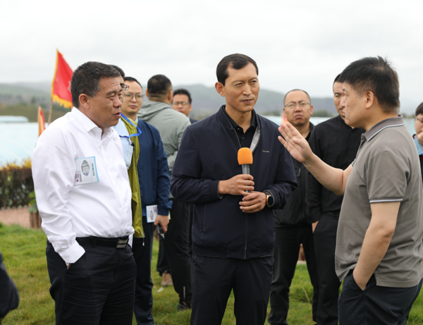 �y����I(y��)��ý�w�����조���P(p��n)ɽ���^(q��)����Ʒ�������