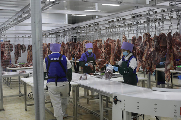 �y����I(y��)��ý�w�����조���P(p��n)ɽ���^(q��)����Ʒ�������